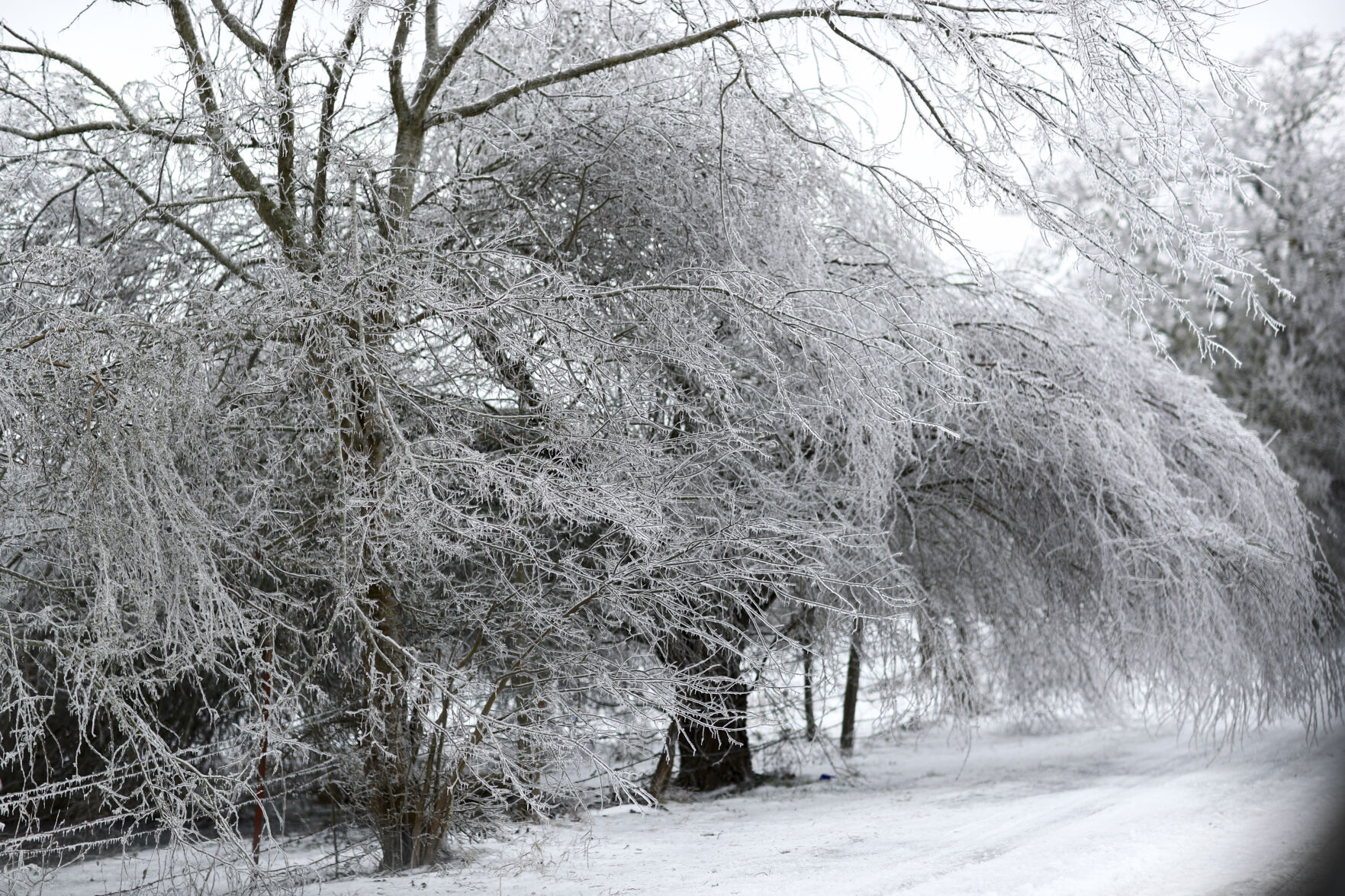 20210218 Winter Weather CS 15.jpg